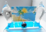 Dolphins  frame drop